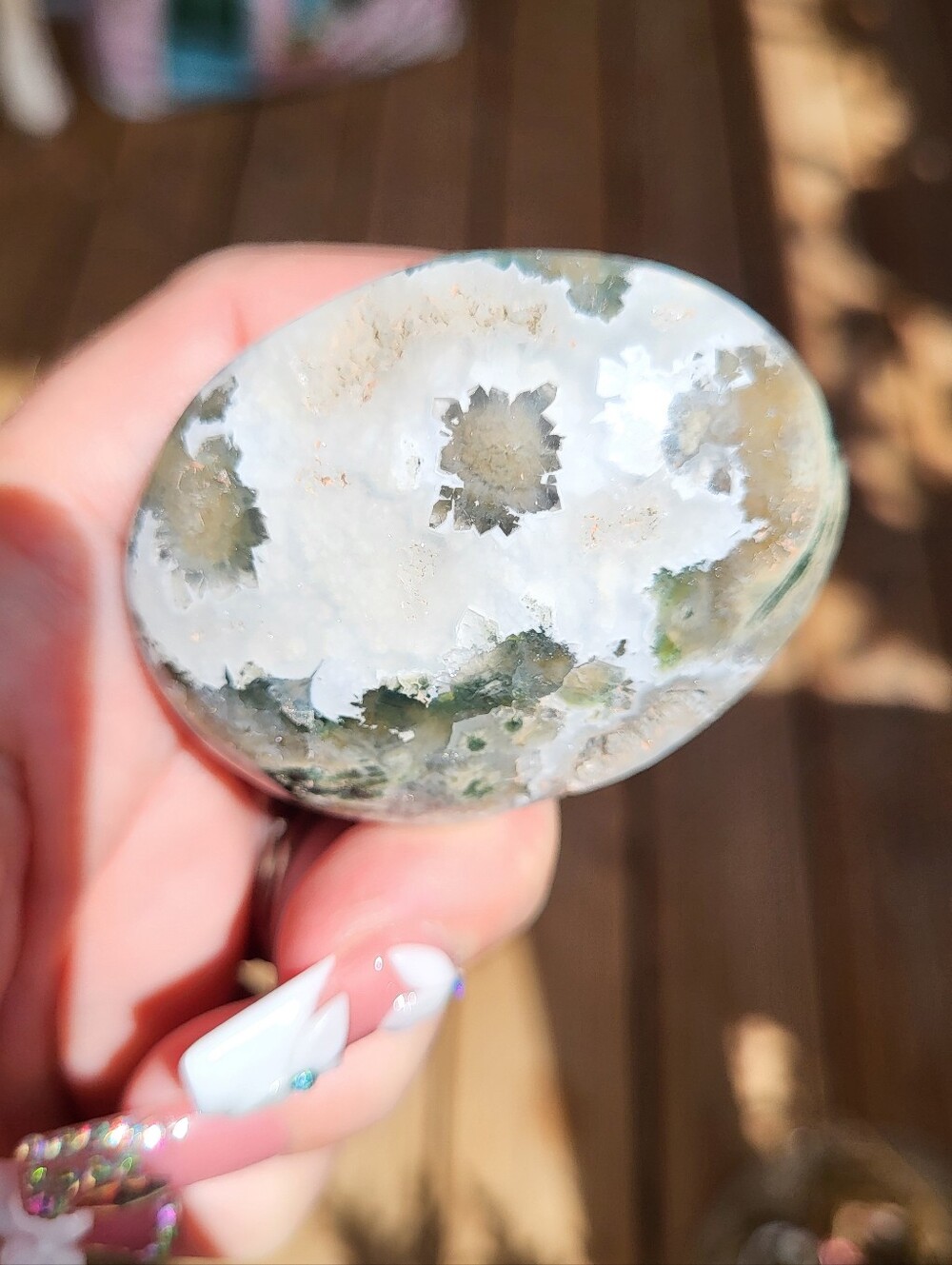 Polished First Vein Old Stock  Ocean Jasper Palm Stone - Green and White Flower